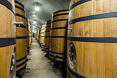 《绯红结系》动画一二集提前泄露 内含密码可兑换游戏道具